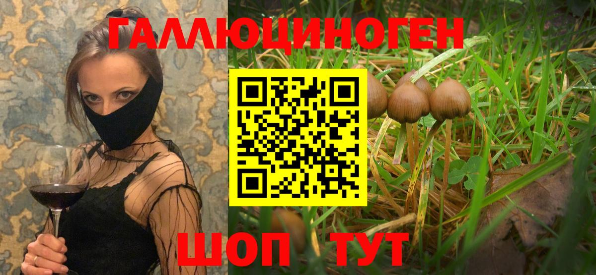 Галлюциногенные грибы Cubensis Родники