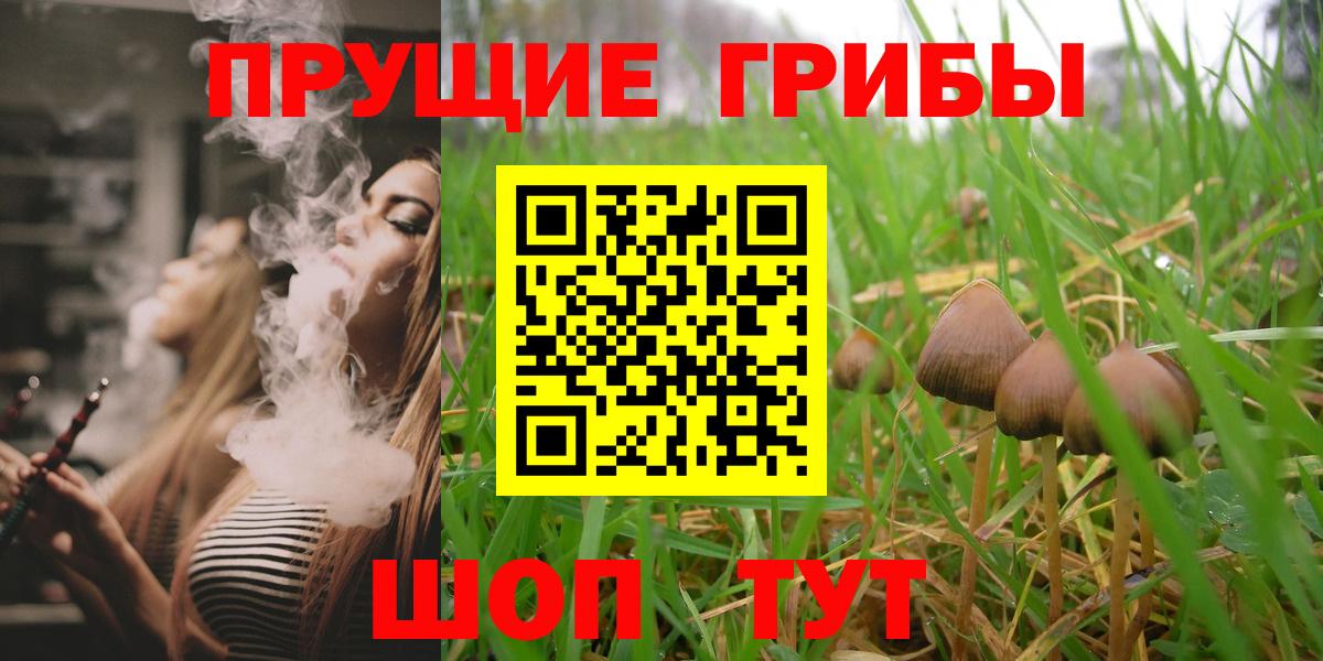 Псилоцибиновые грибы ЛСД  Вход с VPN  Родники 